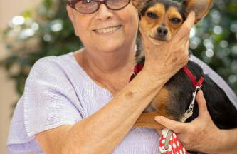 Casa del Gelsomino e del Nespolo - Foto 44