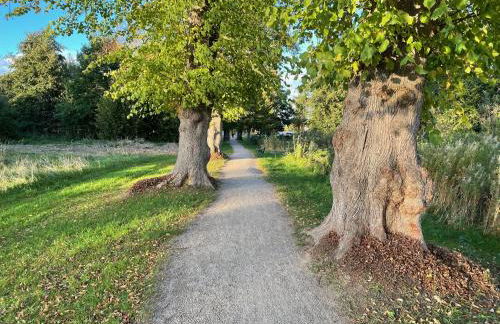 Haus direkt am See, 50m zum Strand, mit Garten & Kamin - Foto 24