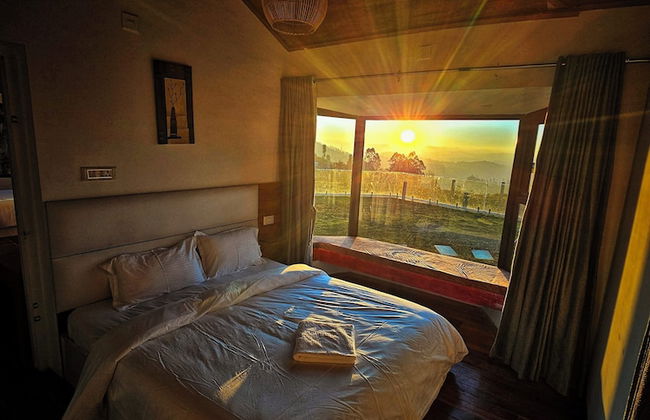 Songs of the Nilgiris - Foto 40