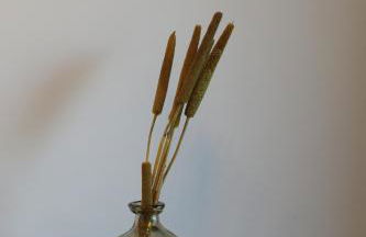 Zambujal Suites - Foto 41