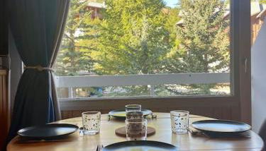 Chaleureux studio à 150m du Point Show - Foto 3