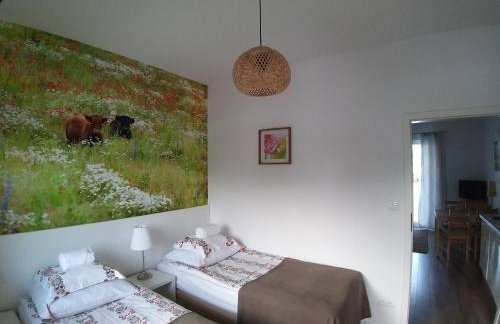 Nowe Guty Fun - Foto 19