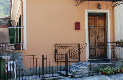 I Limoni di Matteo - Foto 9