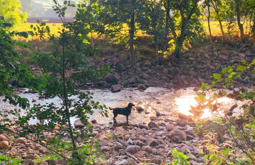 Hobsons Cottage - Foto 27