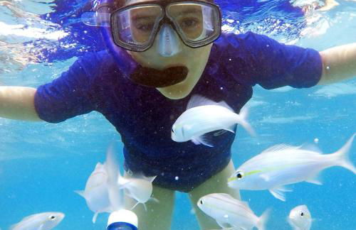 Paraiso de Maracajau 1 - Foto 24