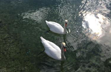 Le Comptoir de Sebastien - La Plage et Le Port - 2 duplex - 100m de la plage de Talloires - Foto 50
