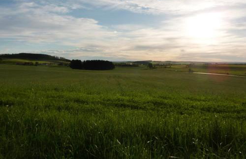 Tonis Hütte - Photo 11