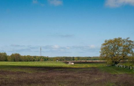 Boddensegler - Foto 17