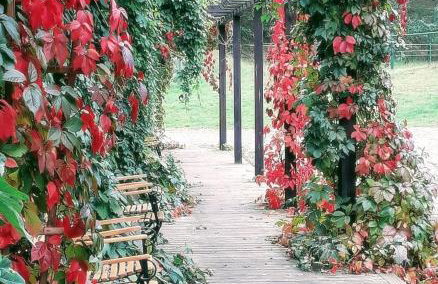 Tamarynowa Osada - Kraina Udanego Wypoczynku - Foto 51