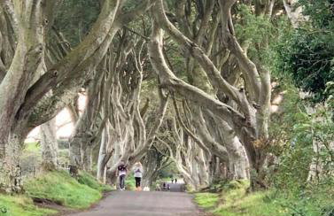 Sarsa Cottage Ballynahinch - Foto 12