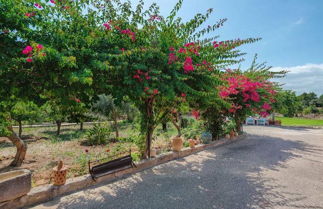 Can Calafat in Can Picafort - Foto 10