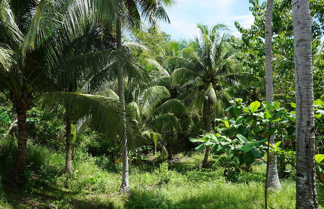 Rose Apartments - Foto 25