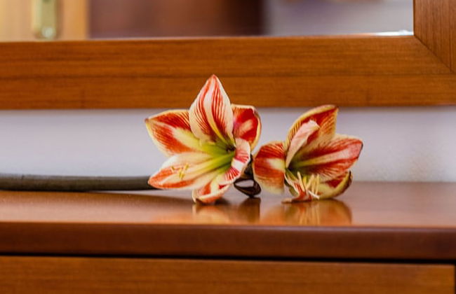 Anna-Ageliki Apartments - Foto 12