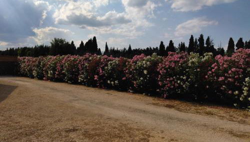 Villa provençale en campagne - Foto 4