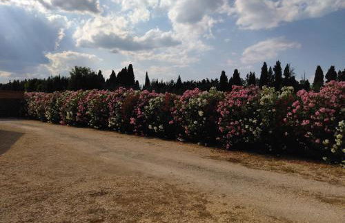 Villa provençale en campagne - Foto 4