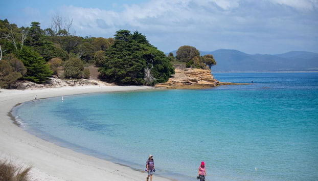 Maria Island National Park Tour - Foto 2