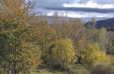 Foyer Magistérien - Photo 13