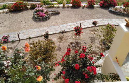 Anemos and Almyra - Foto 8