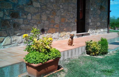 Agriturismo Collomici - Foto 58