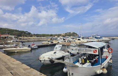 Casa Solana al Cavo - Elba Affitti - Foto 15