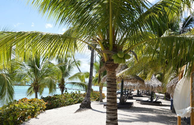 Los Flamencos Aparthotel - Foto 75