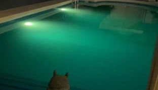 Villa Casa Familia Thijssen - Foto 4