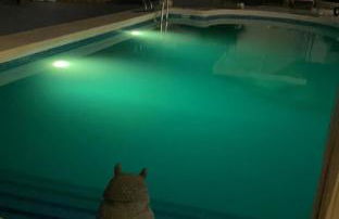 Villa Casa Familia Thijssen - Foto 4