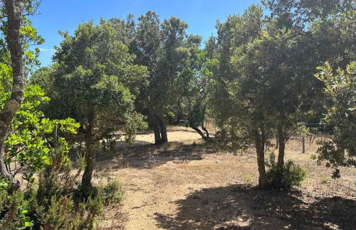 Villa de luxe surplombant la mer, piscine suspendue - Foto 76