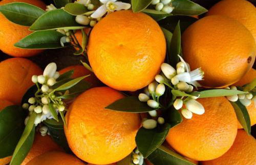 Epicenter II NUEVO y lujoso apto Parking gratis Perfecta ubicación - Foto 48