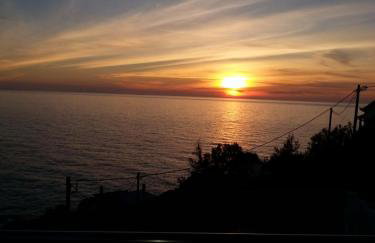 Studio Kalogridis - Foto 31