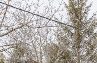 Apartman Eden - Foto 28