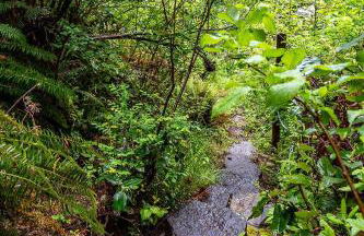 Luna's A-Frame - River & Spa - Foto 32