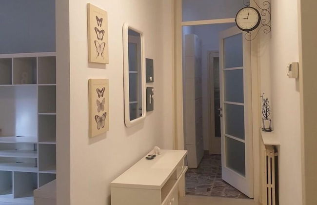 Cleo Tulipano - Foto 14