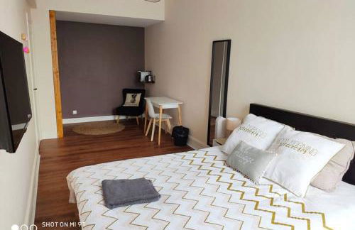 157m2, 4 chambres, 4 salles de bains, 2 WC, 2 parkings en hypercentre - Foto 27