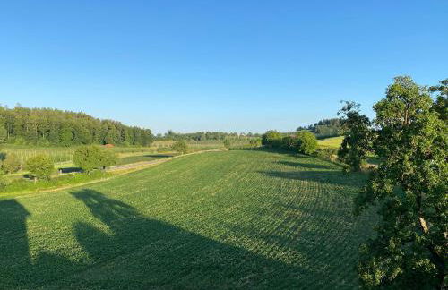 Ferienwohnung Hopfenblick Dachterasse 3SZ Bodenseeregion - Foto 14