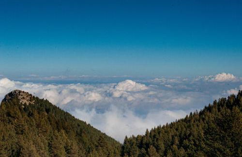 Ιξός Home - Photo 62