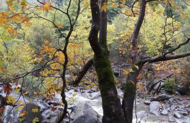 Άγρια Λούλουδα Κατοικία Αρμονία - Photo 58