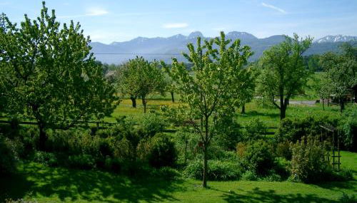 Ferienwohnungen "Zum Bauern" - Foto 2, Garden