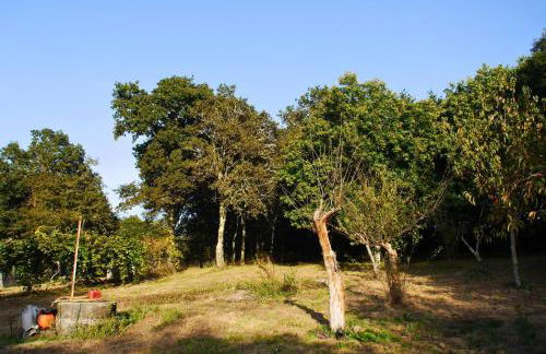 Casa Ermitas - Relájate en plena naturaleza - Foto 37