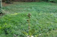 escapade domaine de la grande décision - Foto 11