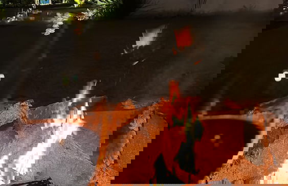 Alma Iguassu Vila - Foto 80