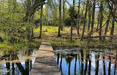 Dom z Bala nad Cieminem - Foto 7