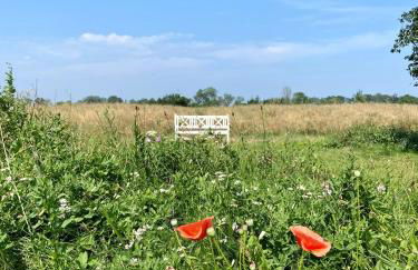 Am Achterwasser DORF 12 - Foto 56