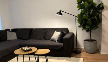 Ferienwohnung Haus Paraschiv - Foto 2