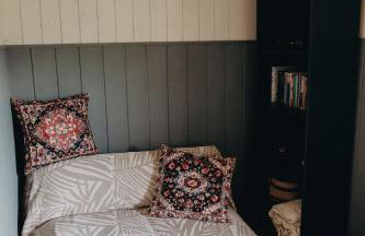 Mech i brzoza - Foto 32