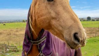 Private Studio Apartment In Dartford DA1 Free Parking TFL Zone 6 - Foto 2