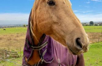 Private Studio Apartment In Dartford DA1 Free Parking TFL Zone 6 - Foto 2