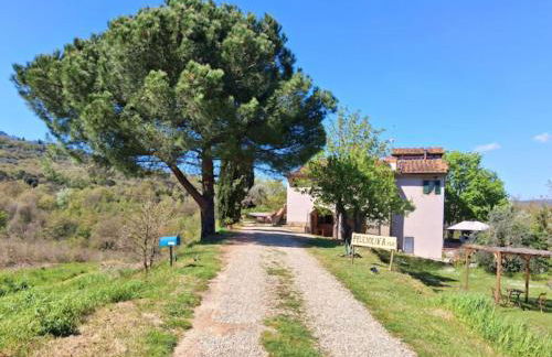 Felciolina - Medieval Country House - Foto 1