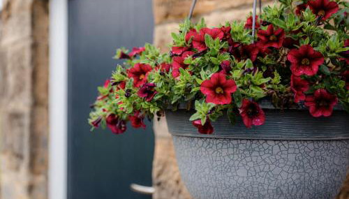 Bilton Farm Cottage No1 - Foto 3