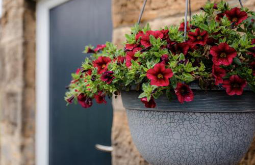 Bilton Farm Cottage No1 - Foto 3